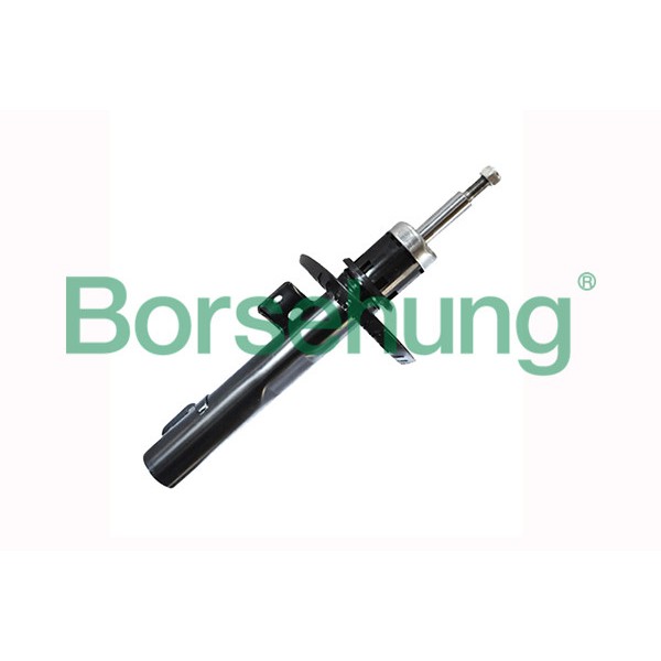 Слика на Амортизер Borsehung B12136