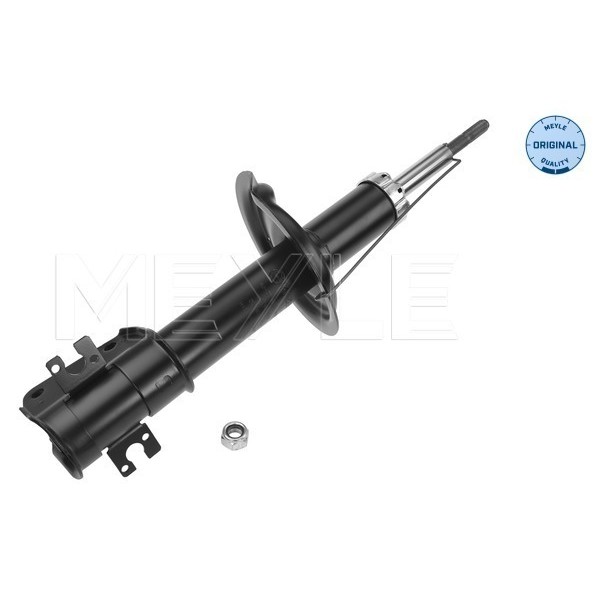 Слика на Амортизер MEYLE ORIGINAL Quality 40-26 623 0012 за Lancia Zeta (220) 2.0 16V (220AQ5) - 136 коњи бензин