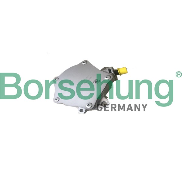 Слика на вакум пумпа, сопирачки систем Borsehung B18775 за VW EOS (1F7,1F8) 2.0 FSI - 150 коњи бензин