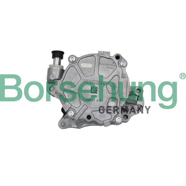 Слика на вакум пумпа, сопирачки систем Borsehung B18800 за VW EOS (1F7,1F8) 1.4 TSI - 160 коњи бензин
