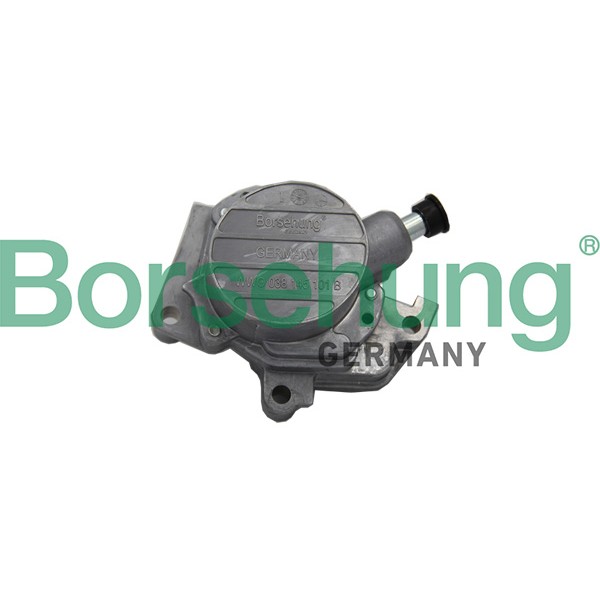 Слика на вакум пумпа, сопирачки систем Borsehung B18801 за VW Jetta 4 Estate (1J6) 1.6 16V - 105 коњи бензин