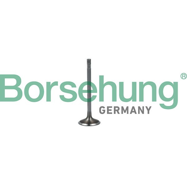 Слика на вентил всисен Borsehung B19023 за VW Transporter 6 Box (SGA, SGH) 2.0 TDI - 84 коњи дизел