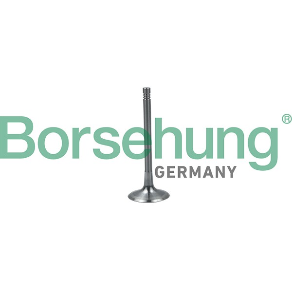 Слика на вентил всисен Borsehung B19024 за Audi A4 Avant (8K5, B8) 1.8 TFSI - 170 коњи бензин