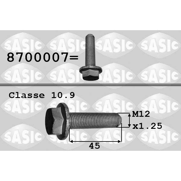 Слика на винт, капачка на главчина SASIC 8704007 за Renault Megane Scenic (JA01) 1.9 dT (JA0K, JA0Y) - 90 коњи дизел