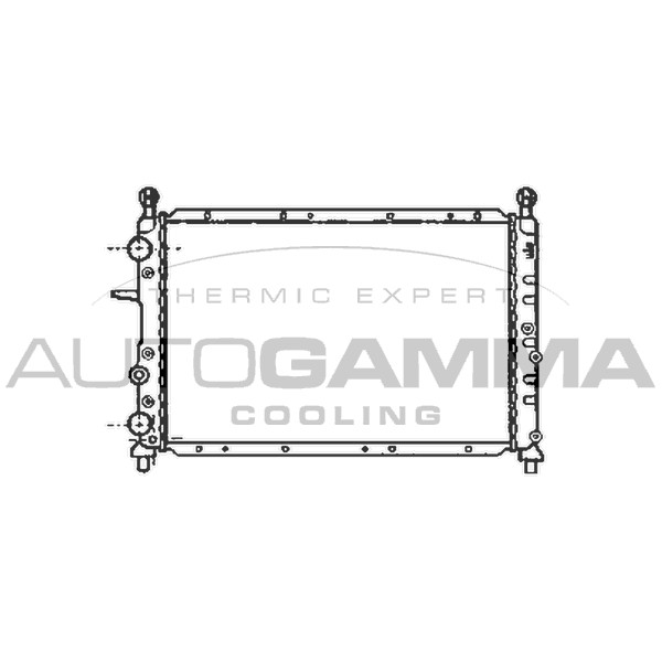 Слика на Воден радиатор (ладник) AUTOGAMMA 100016