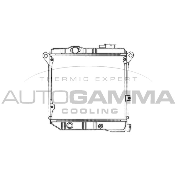 Слика на Воден радиатор (ладник) AUTOGAMMA 100076