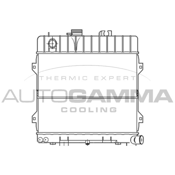 Слика на Воден радиатор (ладник) AUTOGAMMA 100113