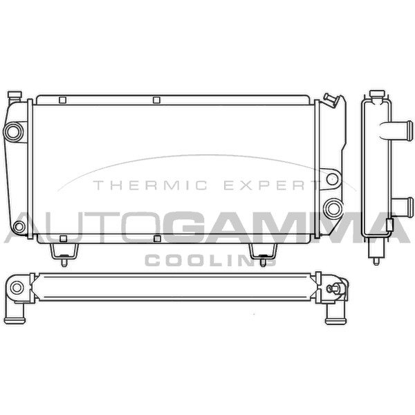 Слика на Воден радиатор (ладник) AUTOGAMMA 100193