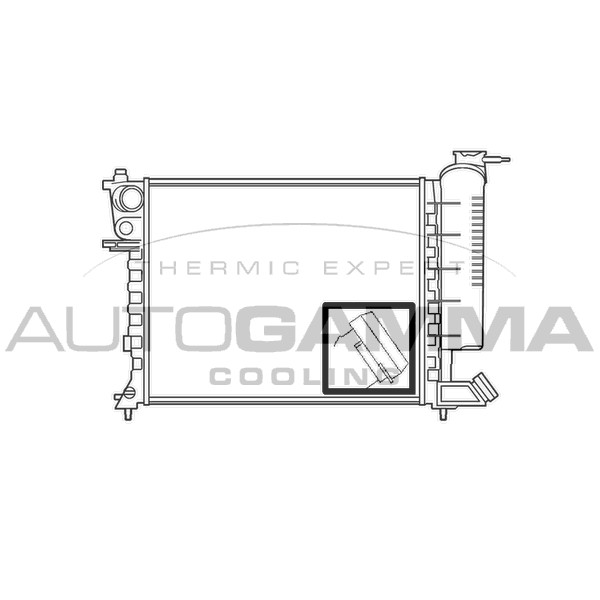 Слика на Воден радиатор (ладник) AUTOGAMMA 100213