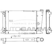 Слика 1 $на Воден радиатор (ладник) AUTOGAMMA 101043