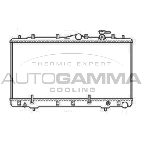 Слика на Воден радиатор (ладник) AUTOGAMMA 104064