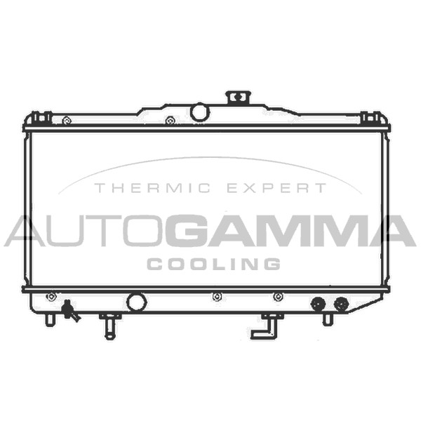 Слика на Воден радиатор (ладник) AUTOGAMMA 104719