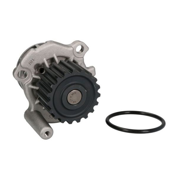 Слика на Водна пумпа THERMOTEC D1A024TT за VW Jetta 4 Estate (1J6) 1.9 TDI 4motion - 101 коњи дизел