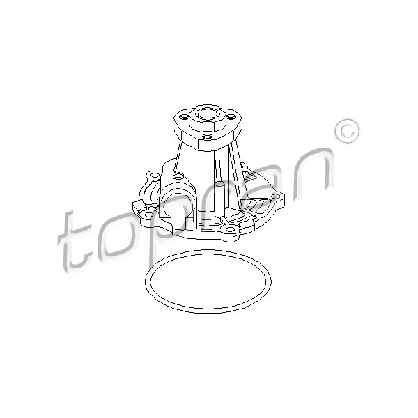 Слика на Водна пумпа TOPRAN 100 314 за VW Polo 3 (6n1) 64 1.9 SDI - 64 коњи дизел