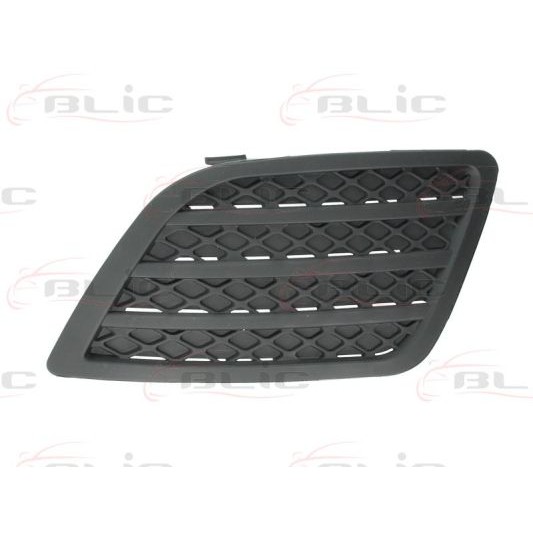 Слика на воздушна решетка, браник BLIC 5513-00-2564923P за Ford Fiesta 5 (jh,jd) ST150 - 150 коњи бензин