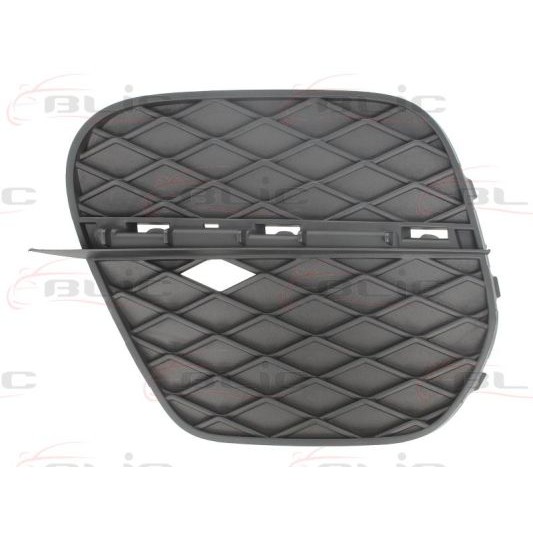 Слика на воздушна решетка, браник BLIC 6502-07-0096915P за BMW X5 E70 xDrive 48 i - 355 коњи бензин