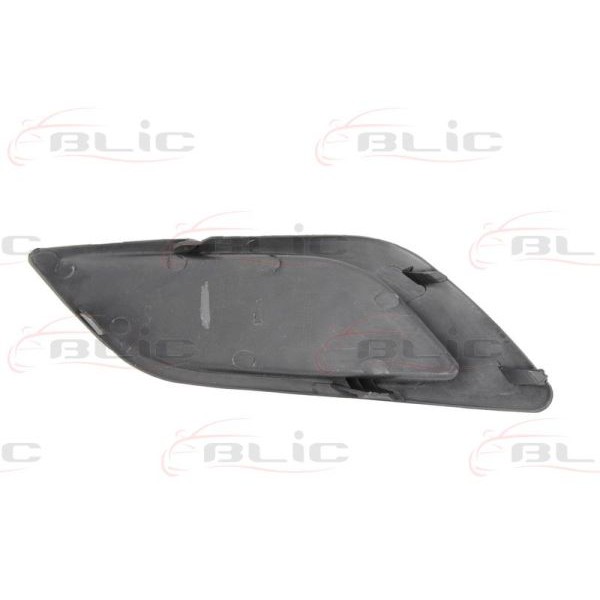 Слика на воздушна решетка, браник BLIC 6502-07-2533998BP за Ford Focus 2 Estate (daw) 1.4 - 80 коњи бензин