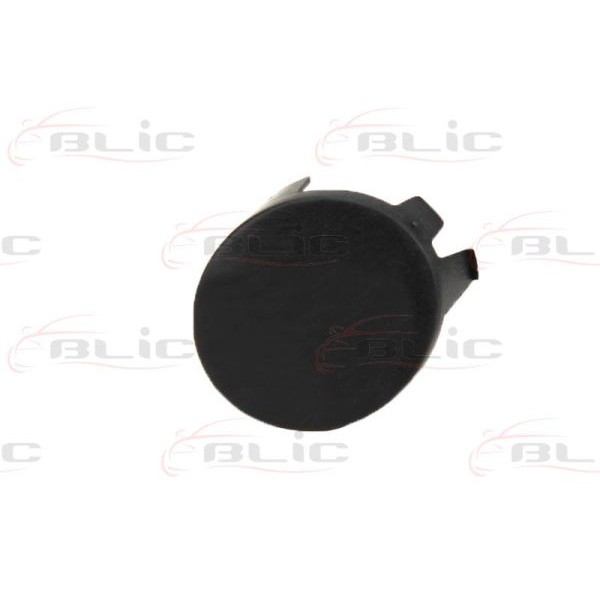 Слика на воздушна решетка, браник BLIC 6502-07-6032998P за Renault Clio 2 1.9 dTi (B/CB0U) - 80 коњи дизел