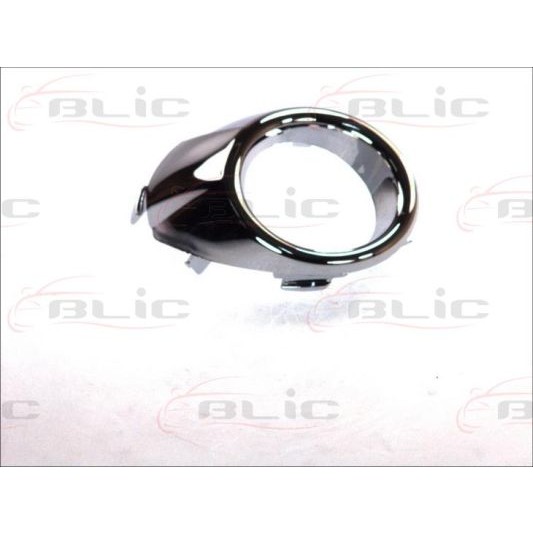 Слика на воздушна решетка, браник BLIC 6509-01-2565924P за Ford Fiesta 6 1.4 TDCi - 68 коњи дизел