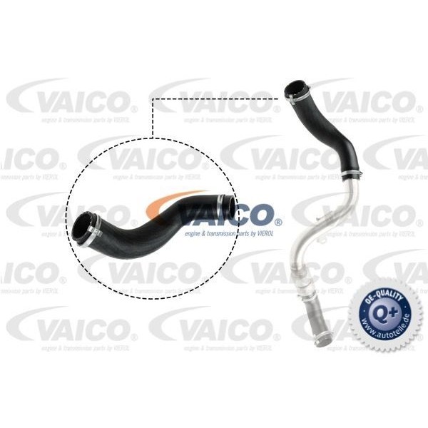 Слика на воздушно црево за турбина VAICO Q+ V25-1024 за Ford Focus 2 Estate (daw) 1.8 TDCi - 115 коњи дизел