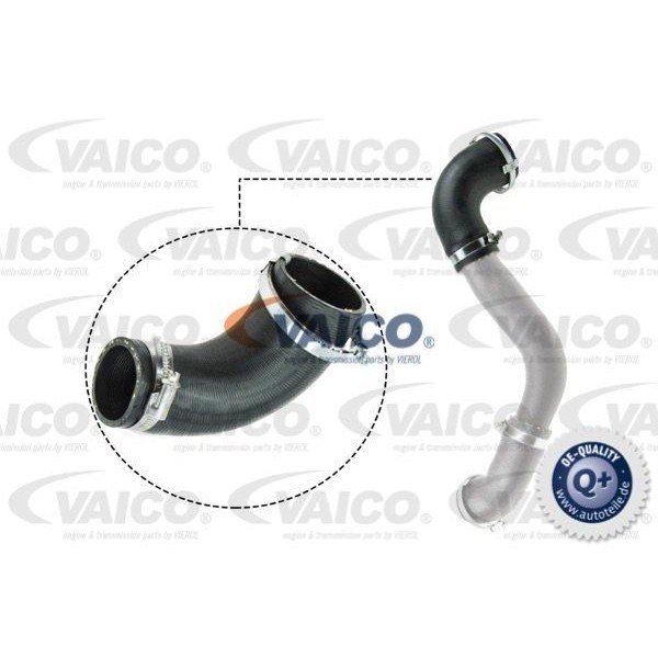 Слика на воздушно црево за турбина VAICO Q+ V25-1050 за Ford Kuga 2 (dm2) 2.0 TDCi - 115 коњи дизел