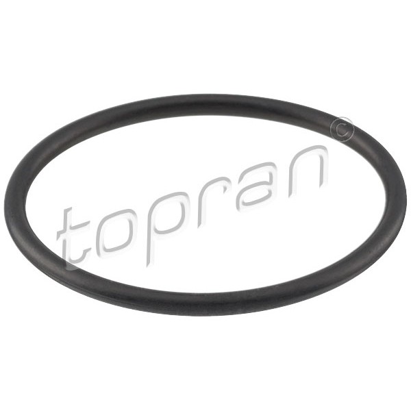 Слика на Гарнитура за термостат TOPRAN 100 618 за VW Jetta 4 Estate (1J6) 1.6 16V - 105 коњи бензин