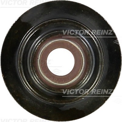 Слика на гумичка за вентили, заштитен прстен, стебло на вентил VICTOR REINZ 70-38398-00 за камион MAN TGA 35.480 FFDAK, FFDHK, FFDHLK - 480 коњи дизел