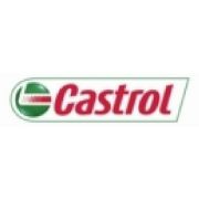 Слика 1 $на Двигателно масло CASTROL POWER 1 2T 0047