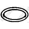 Слика на Запечатувачки прстен, издувна цевка BOSAL 256-269