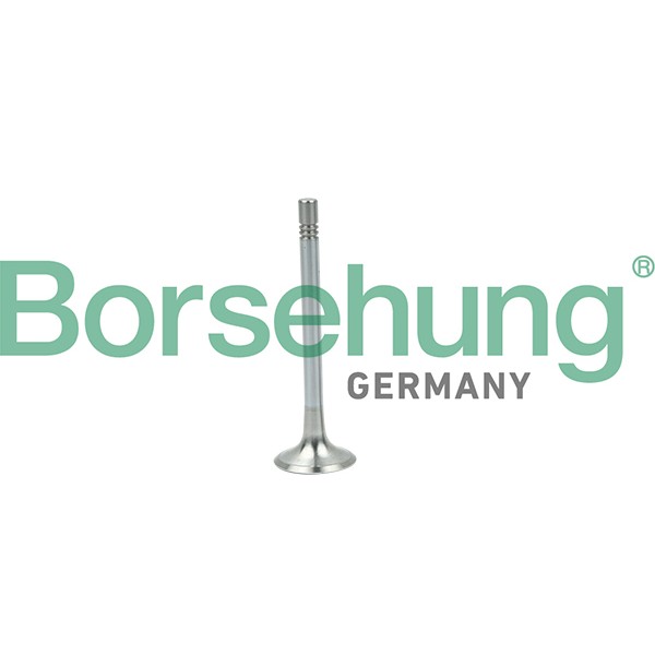 Слика на издувен вентил Borsehung B19004 за VW Transporter 6 Box (SGA, SGH) 2.0 TDI - 84 коњи дизел