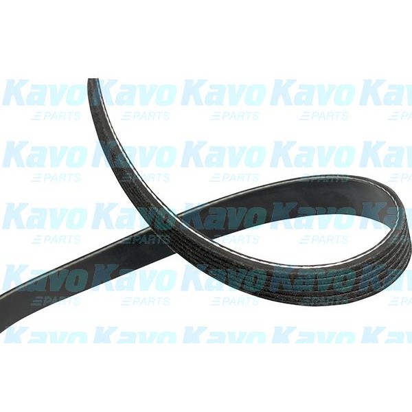 Слика на канален (линиски) ремен KAVO PARTS DMV-3033 за Citroen Jumpy (V) 2.0 BlueHDi 150 - 150 коњи дизел