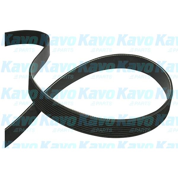 Слика на канален (линиски) ремен KAVO PARTS DMV-9114 за Toyota Land Cruiser (J7) 4.5 TD 24V 4x4 (VDJ76, VDJ78) - 205 коњи дизел