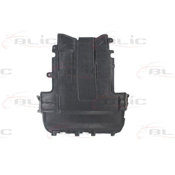 Слика на Капак под моторот BLIC 6601-02-2563860P за Ford Fiesta MK 4 (ja,jb) 1.25 i 16V - 75 коњи бензин