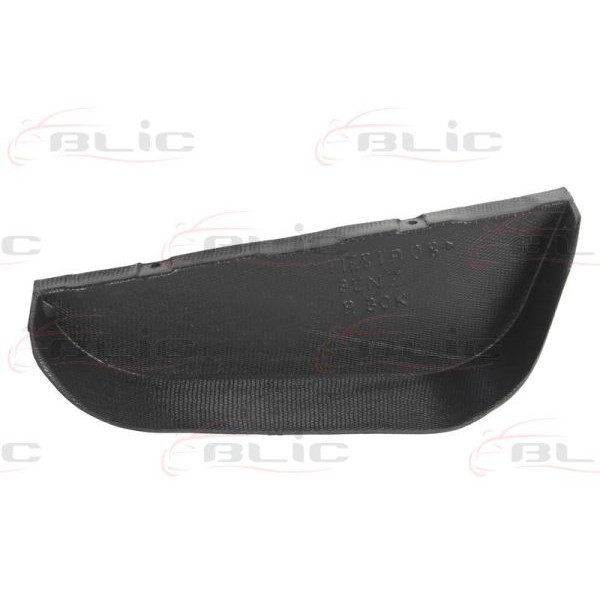 Слика на Капак под моторот BLIC 6601-02-2565872P за Ford Fiesta 6 1.6 Ti - 120 коњи бензин