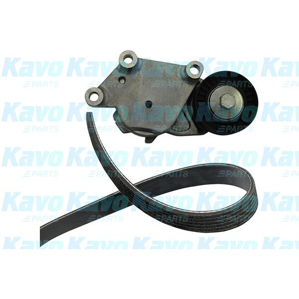 Слика на комплет клинест ремен KAVO PARTS DKM-4503 за Citroen C4 LC Hatchback 1.6 HDi - 90 коњи дизел