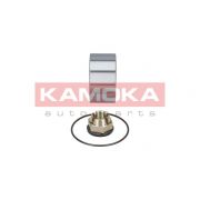 Слика 2 на комплет лагер за тркало KAMOKA  5600006