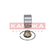 Слика 2 на комплет лагер за тркало KAMOKA  5600017