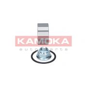 Слика 2 на комплет лагер за тркало KAMOKA  5600054