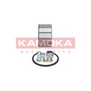 Слика 2 на комплет лагер за тркало KAMOKA  5600071