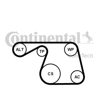 Слика на комплет линиски ремен CONTINENTAL 6PK1310K1 за Lancia Ypsilon (843) 1.3 D Multijet - 75 коњи дизел