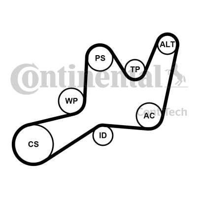 Слика на комплет линиски ремен CONTINENTAL 6PK1605K1 за Renault Megane 1 (BA0-1) 1.9 dTi (BA08, BA0N) - 98 коњи дизел