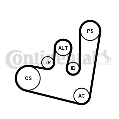 Слика на комплет линиски ремен CONTINENTAL 6PK1660K1 за VW Jetta 4 Estate (1J6) 1.9 TDI - 110 коњи дизел