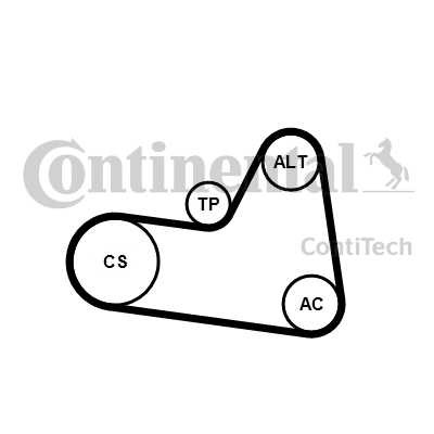 Слика на комплет линиски ремен CONTINENTAL 6PK1710K1 за Peugeot Partner Box (5) 1.6 HDi 90 - 90 коњи дизел