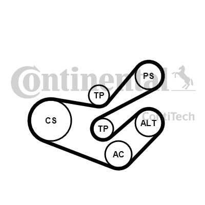 Слика на комплет линиски ремен CONTINENTAL 6PK1750K3 за Citroen Xsara N1 1.9 D - 70 коњи дизел