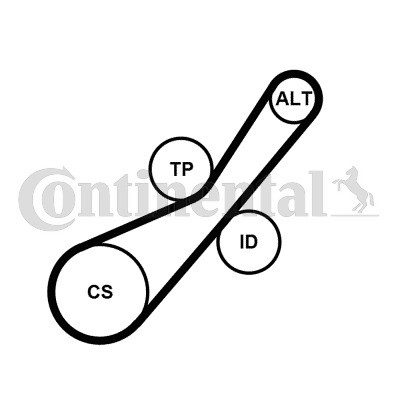 Слика на комплет линиски ремен CONTINENTAL 6PK800K2 за Citroen C3 Pluriel HB 1.4 HDi - 68 коњи дизел