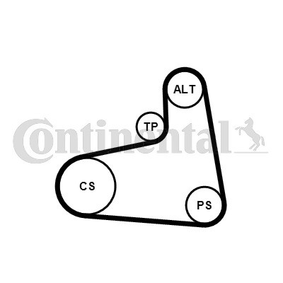 Слика на комплет линиски ремен CONTINENTAL 6PK906K1 за Audi A3 (8L1) 1.9 TDI - 110 коњи дизел