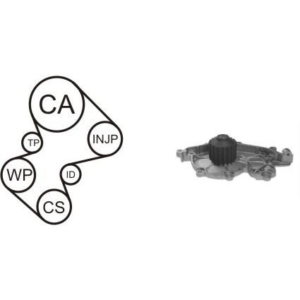Слика на Комплет ребрест ремен + водна пумпа AIRTEX WPK-164001 за Renault Laguna Nevada (K56) 2.2 D (K56F/2, S56F) - 83 коњи дизел