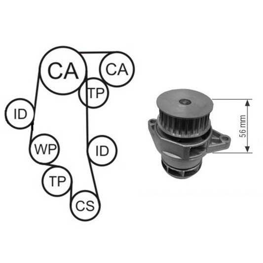 Слика на Комплет ребрест ремен + водна пумпа AIRTEX WPK-168201 за VW Jetta 4 Estate (1J6) 1.6 16V - 105 коњи бензин