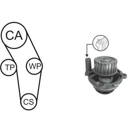 Слика на Комплет ребрест ремен + водна пумпа AIRTEX WPK-170301 за VW Beetle (9C1,1C1) 1.6 - 102 коњи бензин