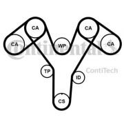 Слика 1 $на Комплет ребрест ремен CONTINENTAL CT1096K2PRO